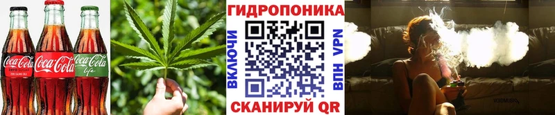 omg tor  Усть-Джегута  Печенье с ТГК конопля 
