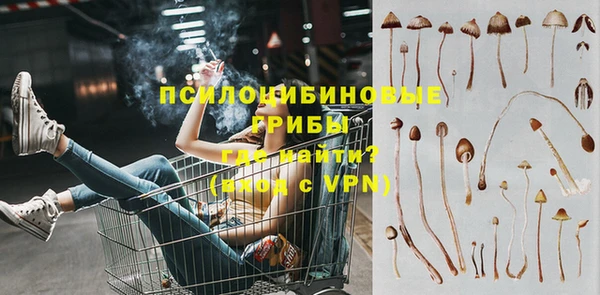 меф Медвежьегорск