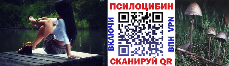 купить   Усть-Джегута  Псилоцибиновые грибы прущие грибы 