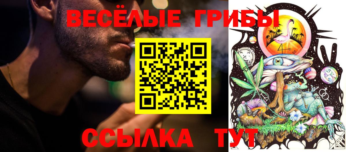 Галлюциногенные грибы мухоморы Усть-Джегута