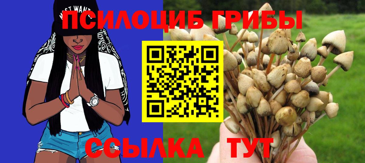дарнет шоп  Псилоцибиновые грибы Psilocybe  Вход с VPN  Усть-Джегута 