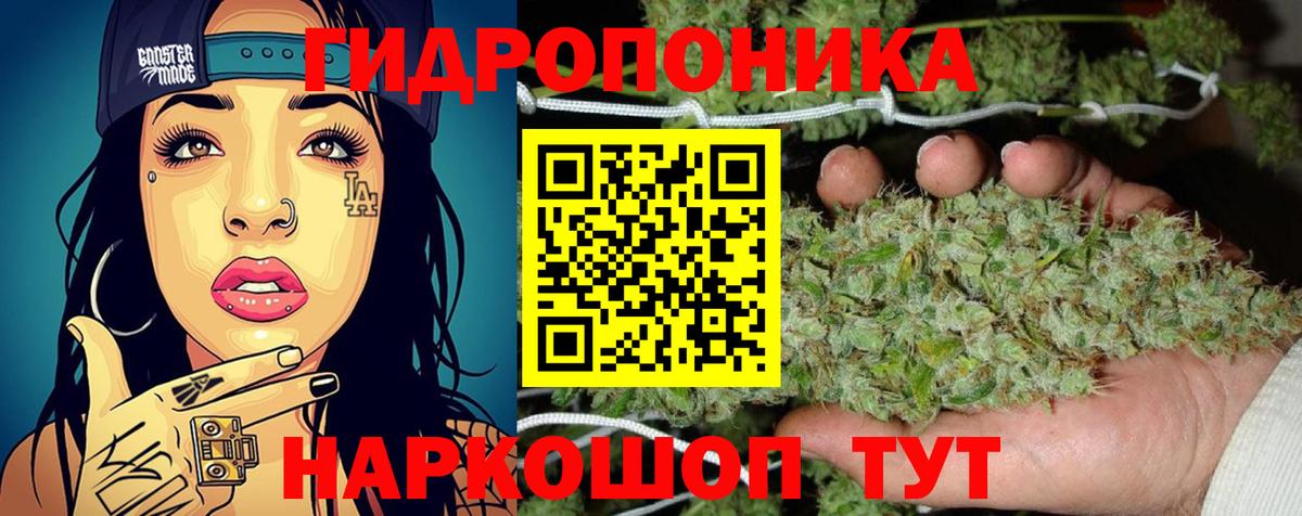 Бошки Шишки индика Усть-Джегута